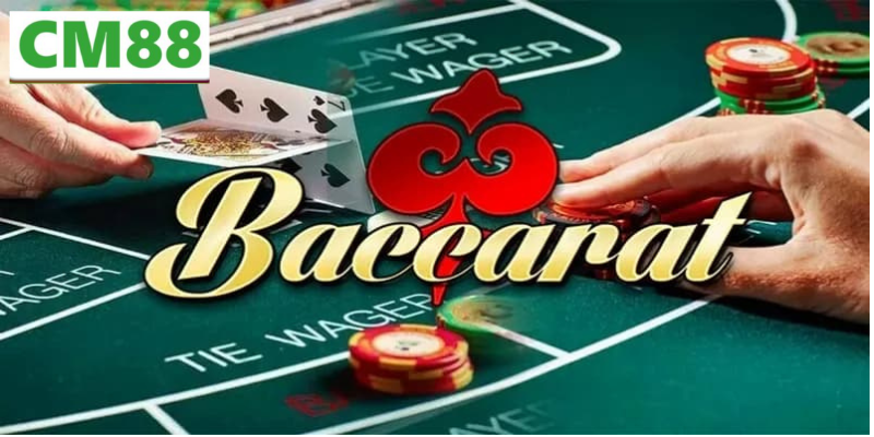 Các loại cược Baccarat phổ biến